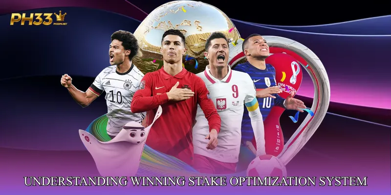 Understanding Winning Stake Optimization System