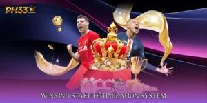 Winning Stake Optimization System