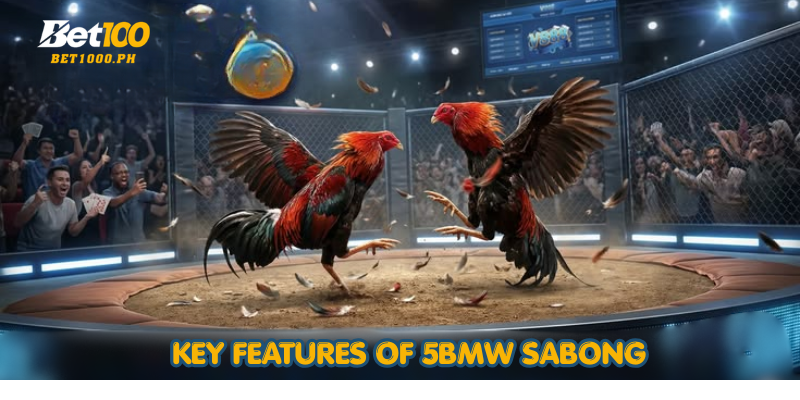 Key Features of 5BMW Sabong