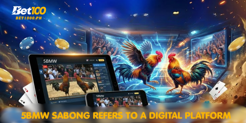 5BMW Sabong refers to a digital platform
